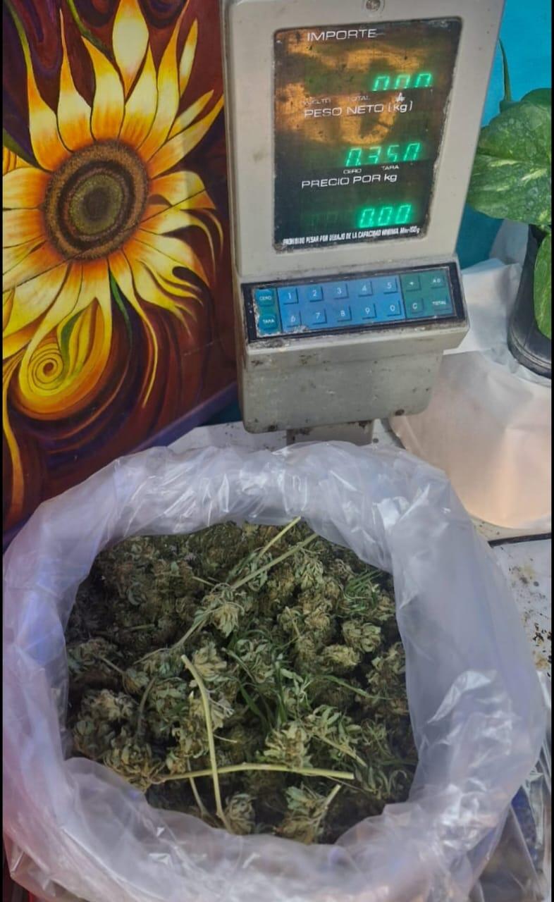 Operativos: casi medio kilo de marihuana, secuestros y aprehendidos