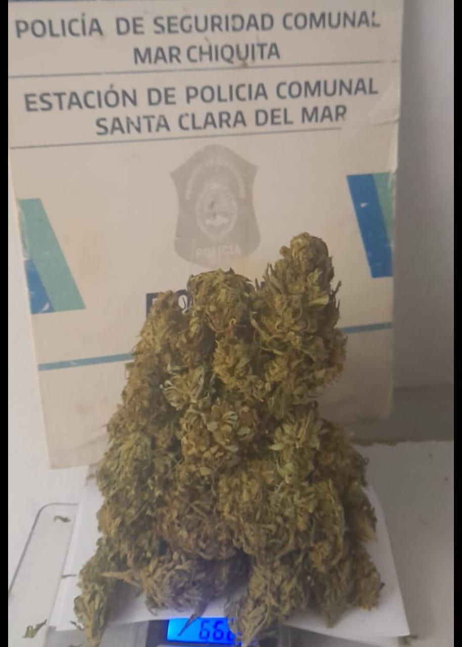 Operativos: casi medio kilo de marihuana, secuestros y aprehendidos