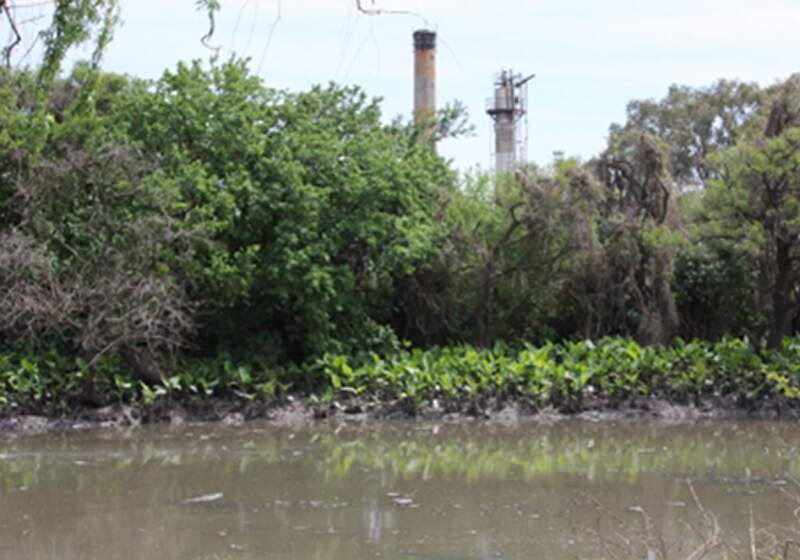 Estudios de Impacto Ambiental: “Nada se crea, nada se destruye, todo se transforma”