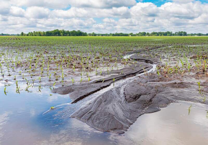 Eximen del Inmobiliario Rural a campos afectados por inundaciones
