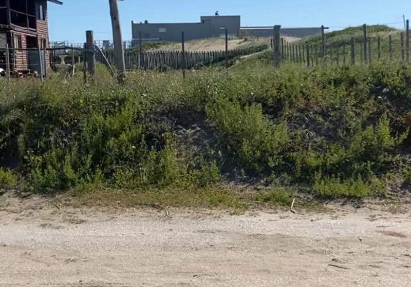 Siciliani y Castro esperan por el informe del Autoridad del Agua: “Es un problema ambiental, no de figuras públicas”