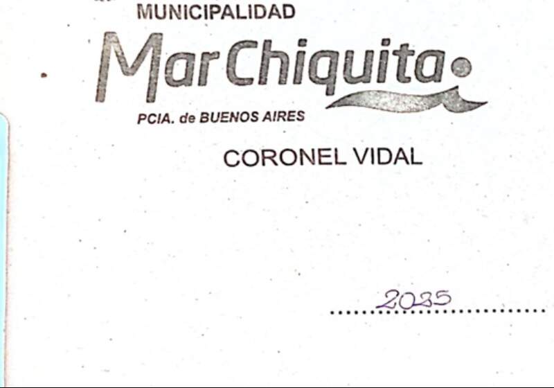 Polémica por contratación de transporte escolar de la Secretaría de Cultura