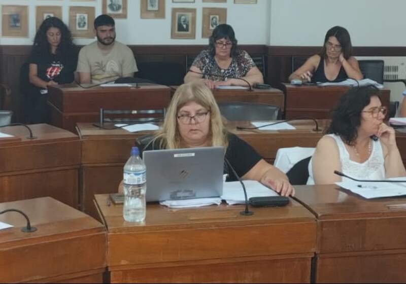 "Soy oposición, pero soy criteriosa y responsable, por eso estoy hoy aquí sentada”