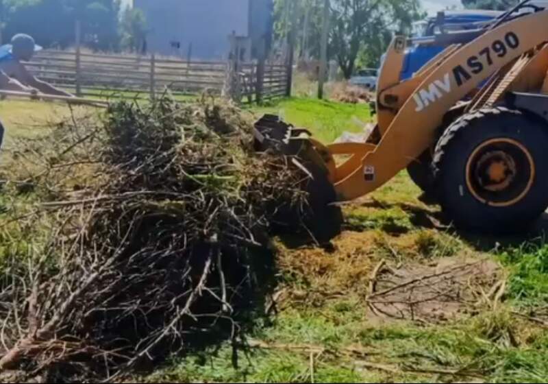 Desde la dependencia a cargo de Matías Jara, se informó de trabajos de recolección de podas, corte de césped y colocación de nuevas luminarias LED.