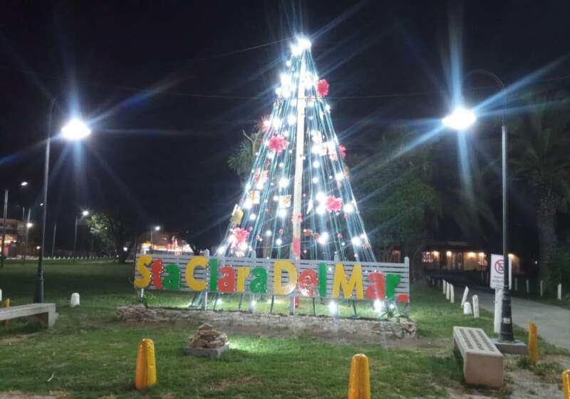  La Delegación Santa Clara instaló árboles en la Reserva Atlántida, la Rotonda del Viejo Contrabandista y Camet Norte.