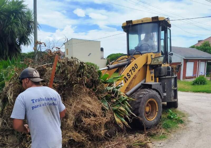 Tareas de mantenimiento y cambio de luminarias en barrios de la Costa Sur