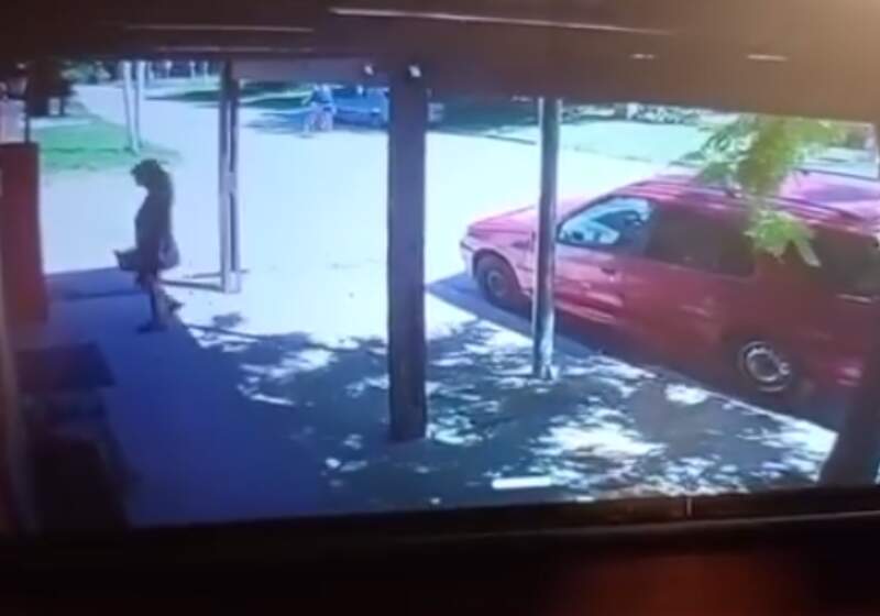 Una mujer dejó una caja con animales en la puerta del consultorio de Adrián Ciarfaglia y quedó registrada en cámaras de seguridad. 