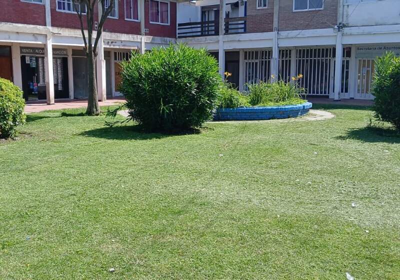 Intensificaron las tareas de Espacios Verdes en Santa Clara