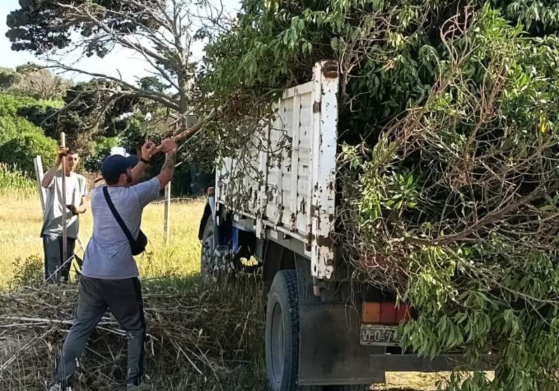 Realizan tareas de limpieza en Playa Dorada