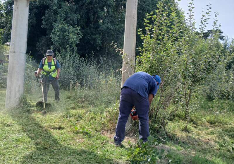 La Delegación informó intervenciones en plazas y tareas de poda en Mar de Cobo, con recomendaciones de circulación.