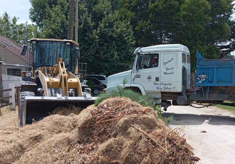 La Delegación Santa Clara informó intervenciones en espacios públicos del barrio, con trabajos de limpieza y poda.