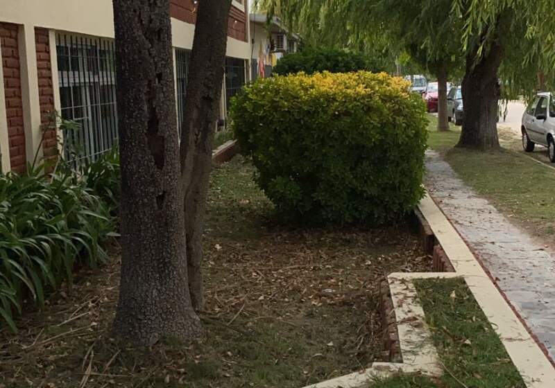 La Delegación Santa Clara realizó trabajos en escuelas de la ciudad