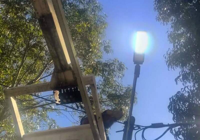 Reforzaron las tareas de mantenimiento en el barrio Santa Elena