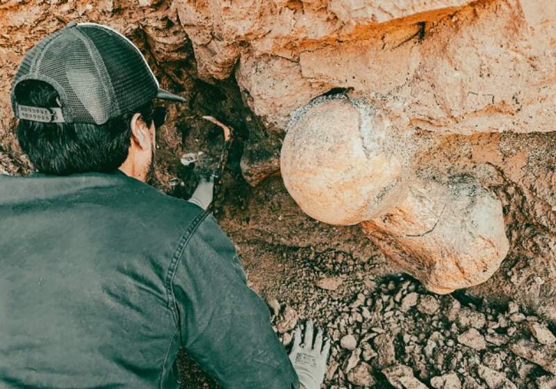 Hallaron en Santa Clara restos de un perezoso gigante de 400 mil años