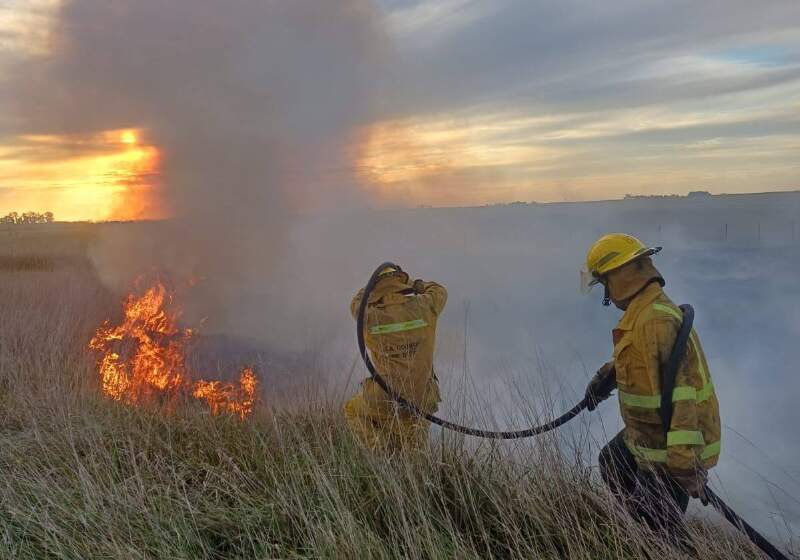 Bomberos de Coronel Vidal controlaron un incendio a la vera de la ruta 55