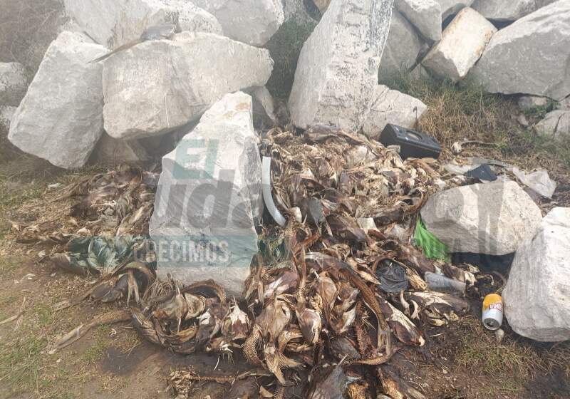 El acopio de piedras de Rizzo se transformó en un basural