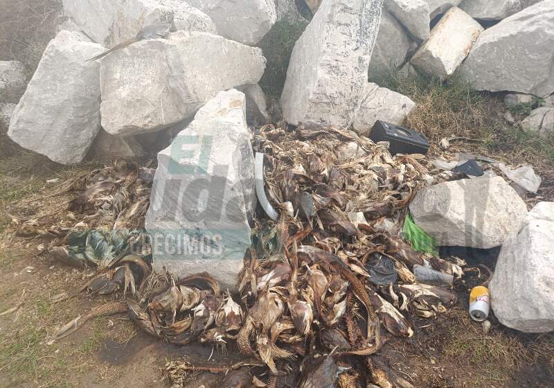 Patricia Heltner pedirá retirar el acopio de piedras de Rizzo en Playa Dorada