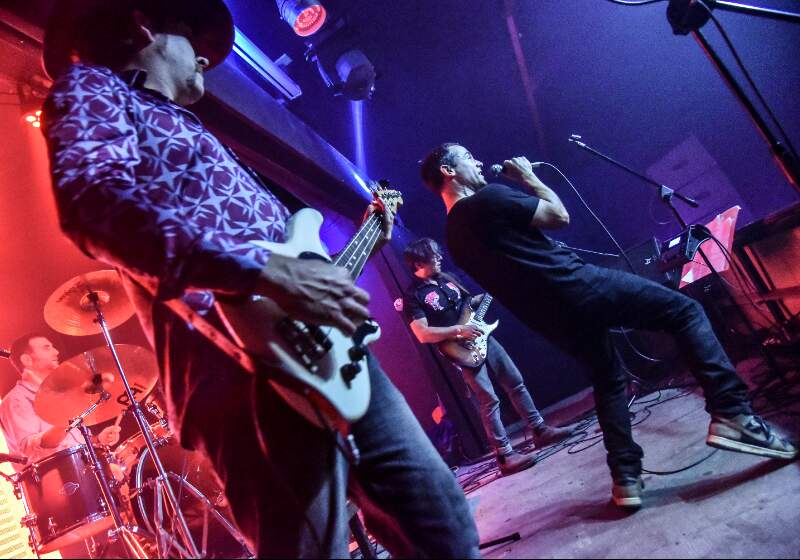 Los Gaviotas lanzaron “Tengo”, su homenaje rockero a Sandro
