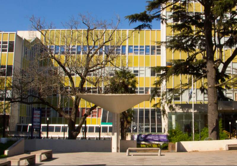 La UNMdP sumó la carrera de Traductorado Público en Inglés