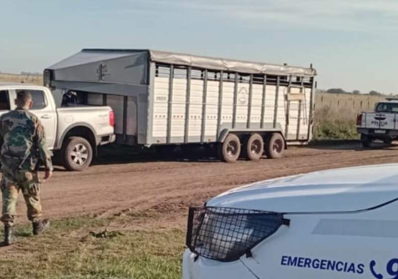 El Comando de Prevención Rural detectó inconsistencias en la documentación y marcas recientes en animales.