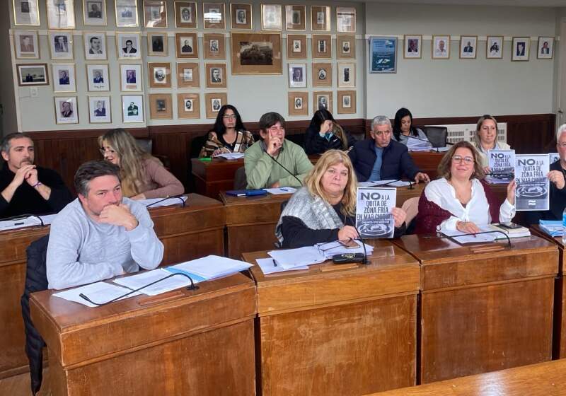 Matías Lagos defendió en el recinto la postura del Gobierno Nacional sobre la Zona Fría