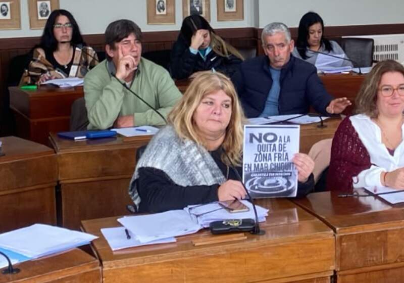 Heltner rechazó con dureza el proyecto que limita el acceso a las comisiones