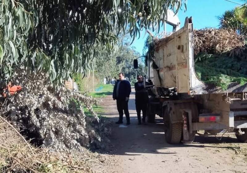 Se realizaron trabajos en espacios públicos, veredas y terrenos baldíos, con apoyo logístico de la Delegación Santa Clara.