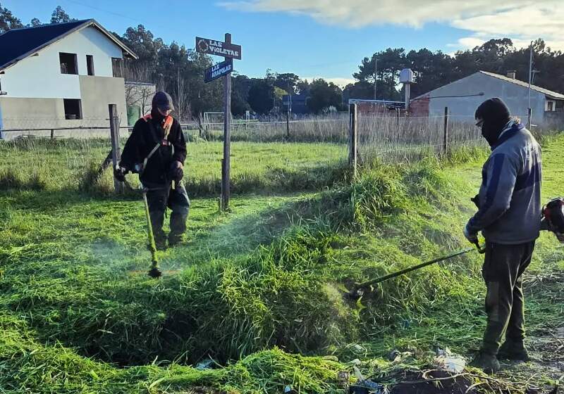 La Delegación Costa Sur informó nuevas tareas de corte de césped y limpieza en distintos barrios