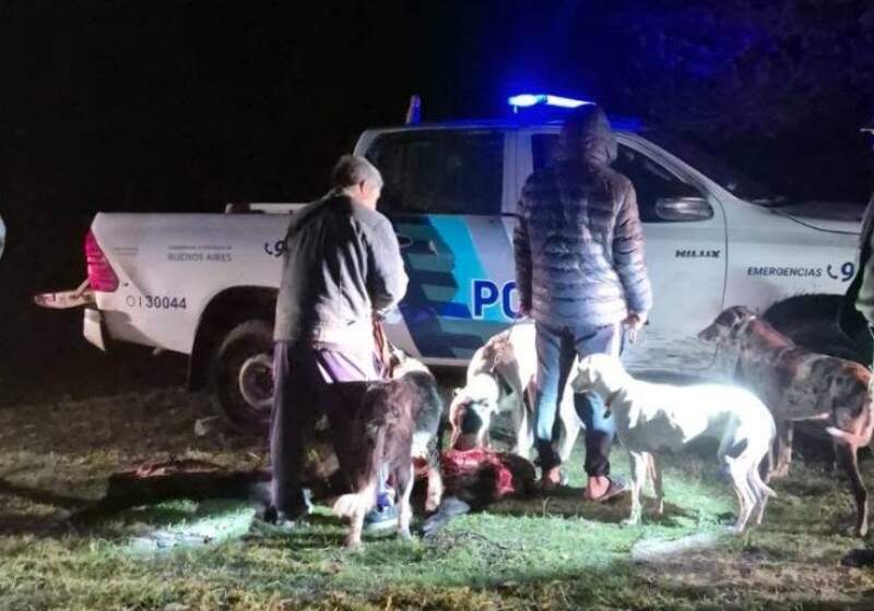 Denunciaron caza furtiva y tránsito ilegal en la Reserva Natural Mar Chiquita