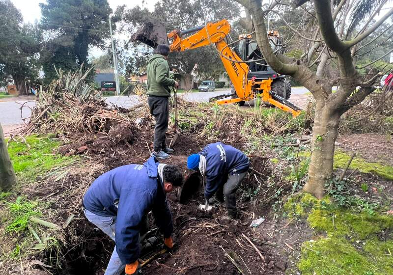Trabajos de mantenimiento y limpieza en Avenida Atlántida y Las Palmas