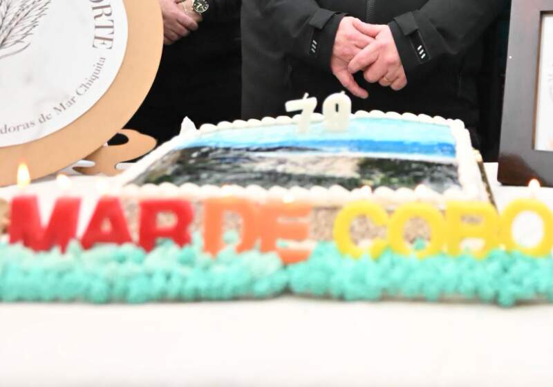 Presentaron un plan de iluminación LED en Mar de Cobo