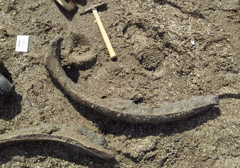El Museo municipal de Ciencias Naturales Pachamama dio a conocer que se encontraron parte de una mandíbula y grandes huesos en las playas de la zona.