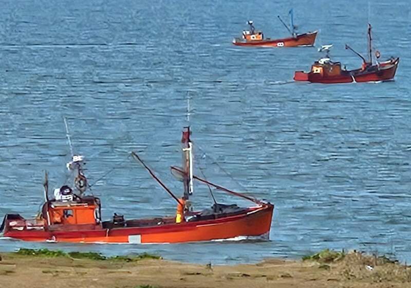 Los pesqueros que amarran en el puerto de Mar del Plata realizan la pesca de arrastre cada vez más cerca.